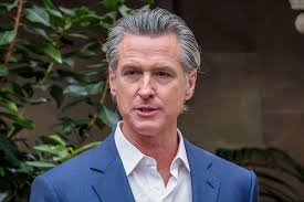 gavin newsom net worth